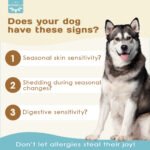 Prevent allergies - Image 2