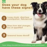 probiotics - Image 2