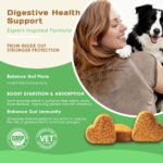 probiotics - Image 3